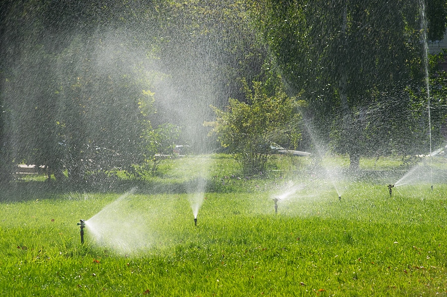 The Dangers of Irrigation Backflow